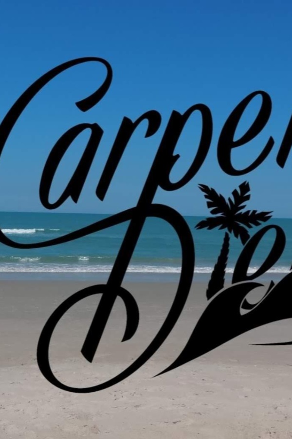 Cruise Brothers Travel Agent paula carper